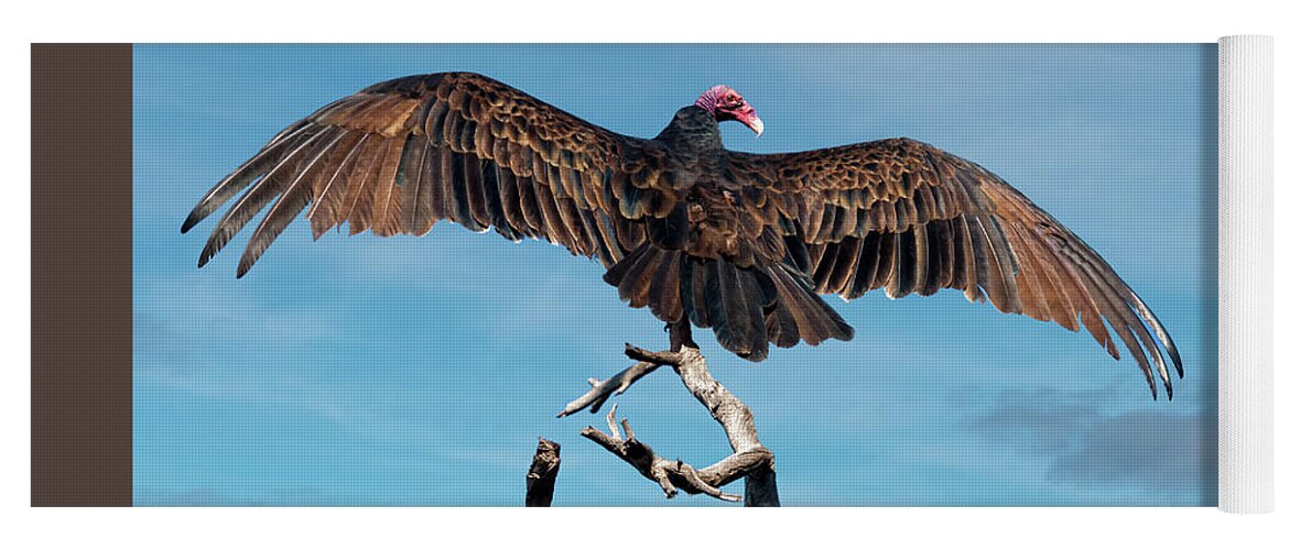 Adult Yoga Mat featuring the photograph Turkey Vulture Perched in a Dead Tree by Jeff Goulden