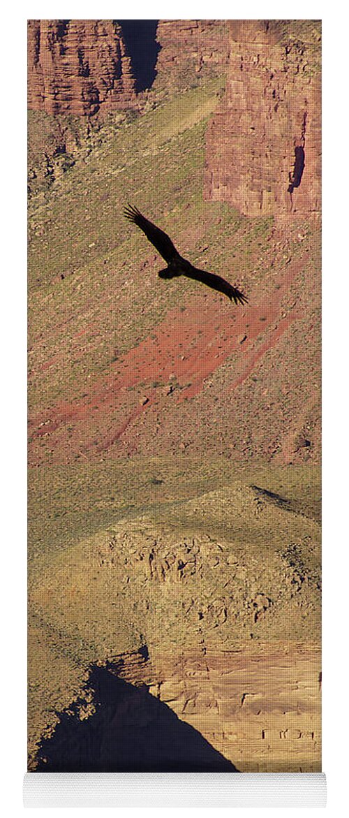 Arizona Yoga Mat featuring the photograph Turkey vulture soaring by Steve Estvanik