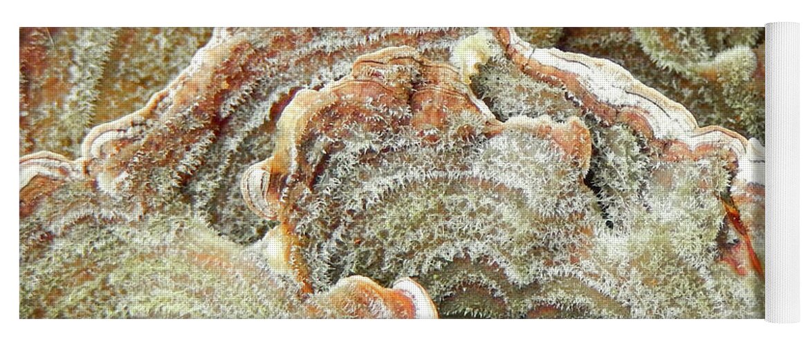 Abstract Yoga Mat featuring the photograph Turkeytail Fungus Abstract by Karen Rispin