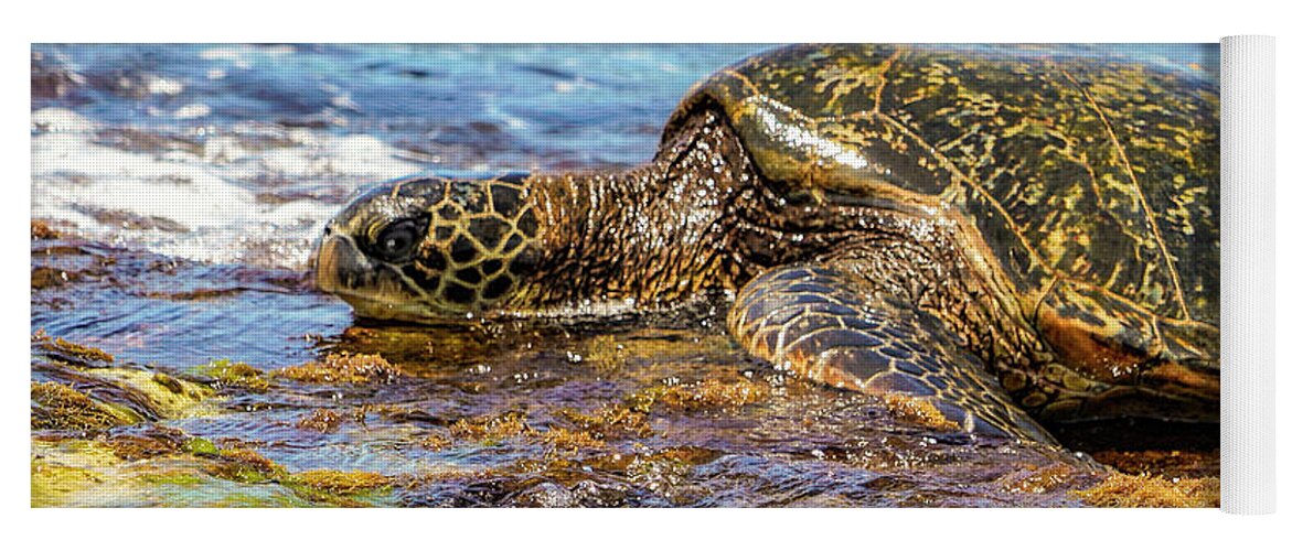 Hawaii Yoga Mat featuring the photograph Turtle at Turtle Beach by Betty Eich