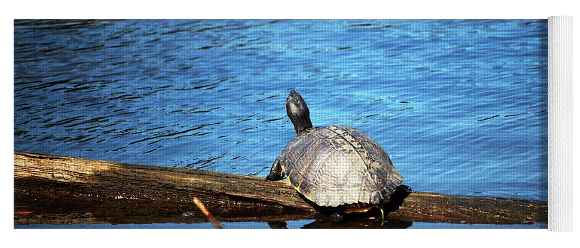 Turtle Yoga Mat featuring the photograph Turtle Reflection by Cynthia Guinn