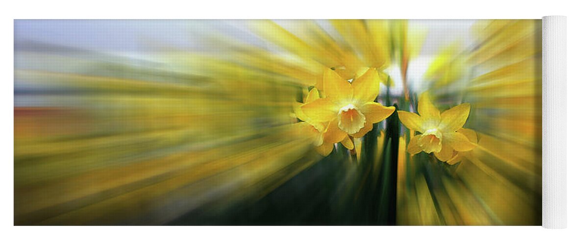 Daffodils Yoga Mat featuring the photograph Two Hearts Spreading Light by Wayne King