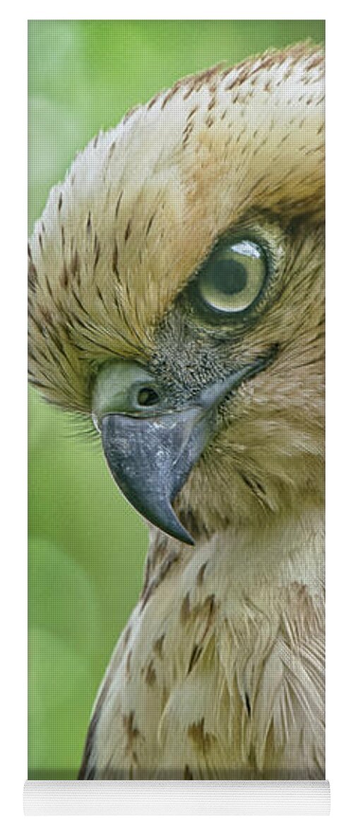 Beautiful Bird Yoga Mat featuring the photograph Under a Watchful Eye by Heidi Fickinger