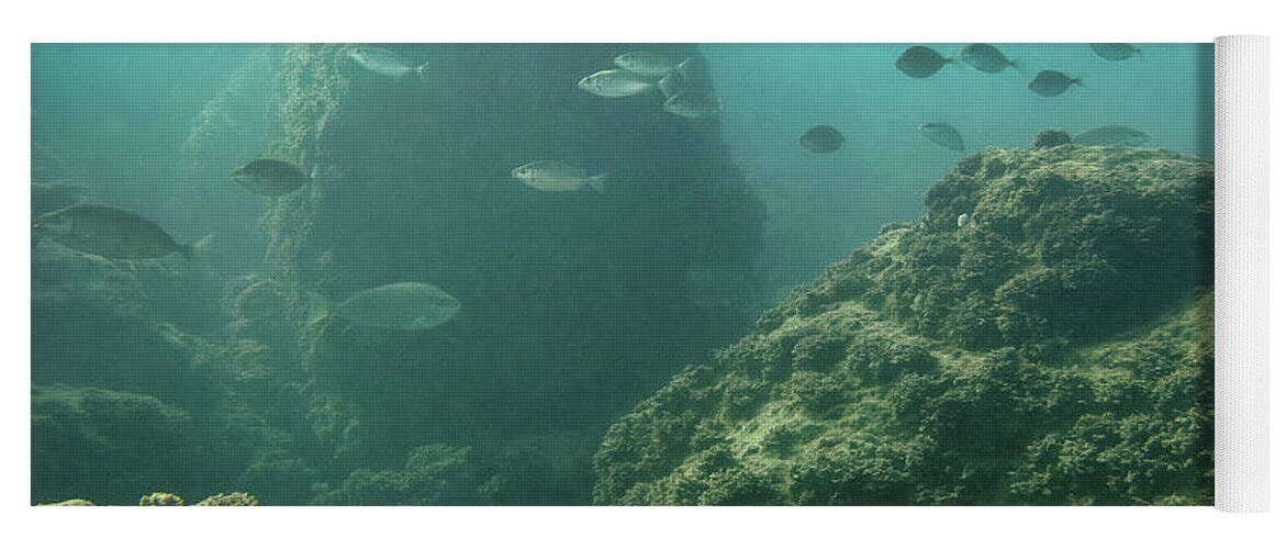 Fish Yoga Mat featuring the photograph Underwater Landscape by Meir Ezrachi
