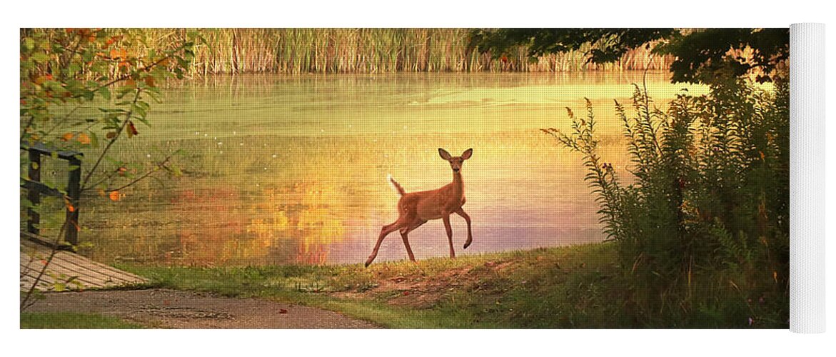 Deer Yoga Mat featuring the photograph Unexpected Beauty by Rob Blair