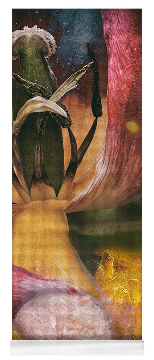 Tulip Yoga Mat featuring the photograph Untitled_tul by Paul Vitko