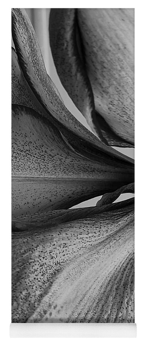 Flower Yoga Mat featuring the photograph Up close in black and white by Kim Galluzzo