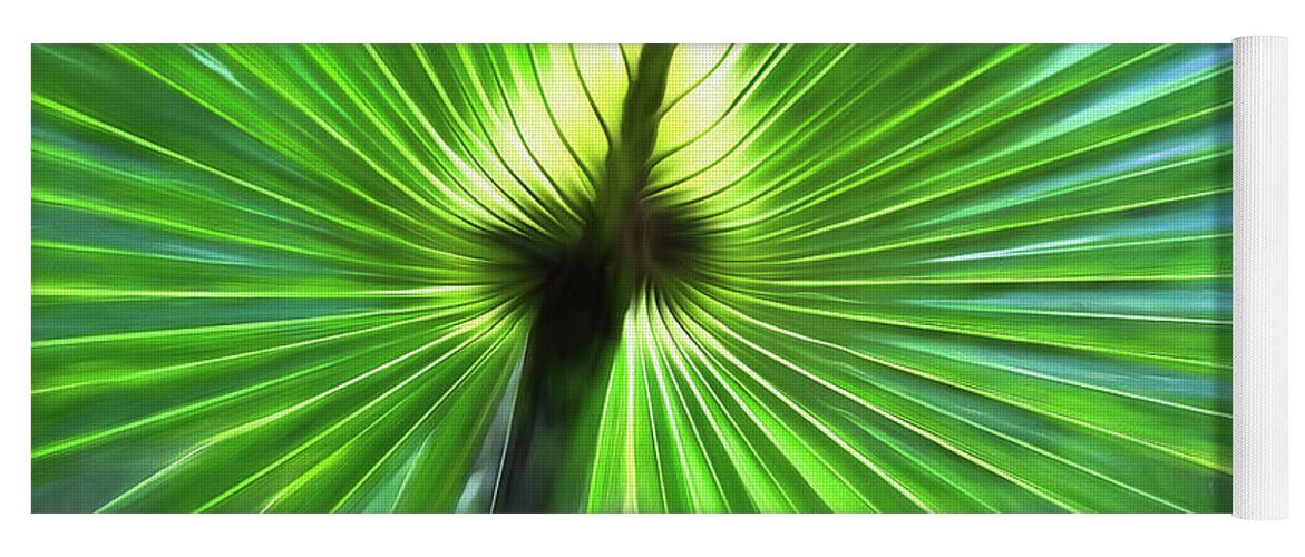Plant Yoga Mat featuring the photograph Verdant Glow by Art Cole
