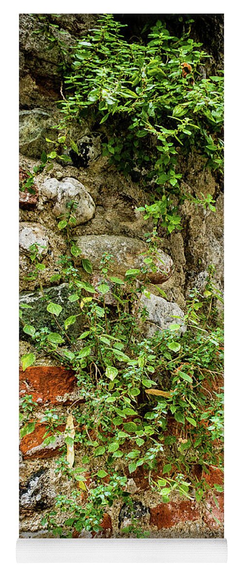 Italy Yoga Mat featuring the photograph Vine covered stone wall by Craig A Walker