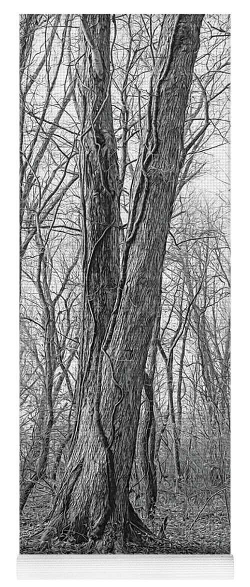 Tree Yoga Mat featuring the digital art Vine-Covered Tree Monochrome by Dennis Lundell