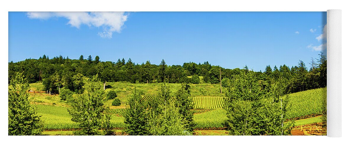 Vineyard Yoga Mat featuring the photograph Vineyard on Eola-Amity Hills, Oregon by Aashish Vaidya