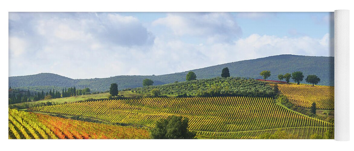 Vineyard Yoga Mat featuring the photograph Vineyards and Trees at the top of the Hill. Chianti by Stefano Orazzini
