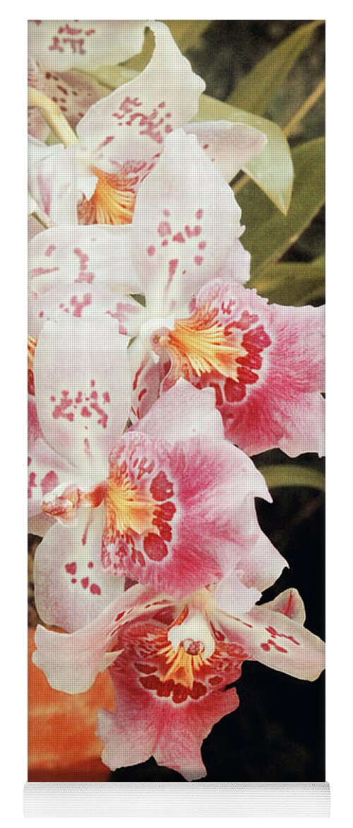 Pink Yoga Mat featuring the photograph Vintage Orchids by Carolyn Stagger Cokley