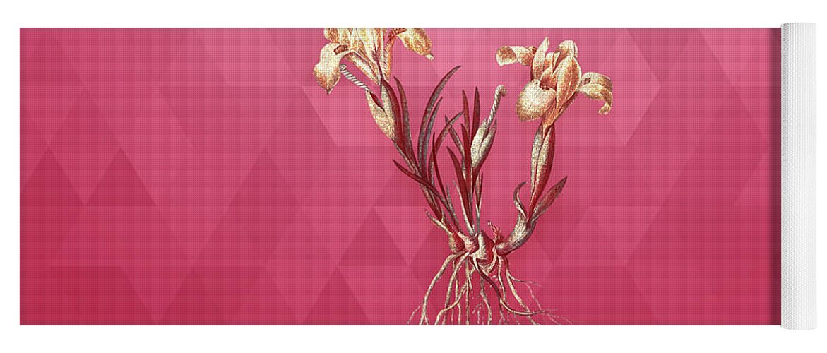 Botanical Yoga Mat featuring the mixed media Vintage Sand Iris in Gold on Viva Magenta by Holy Rock Design