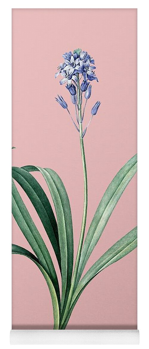 Holyrockarts Yoga Mat featuring the painting Vintage Spanish Bluebell Botanical Illustration on Pink by Holy Rock Design