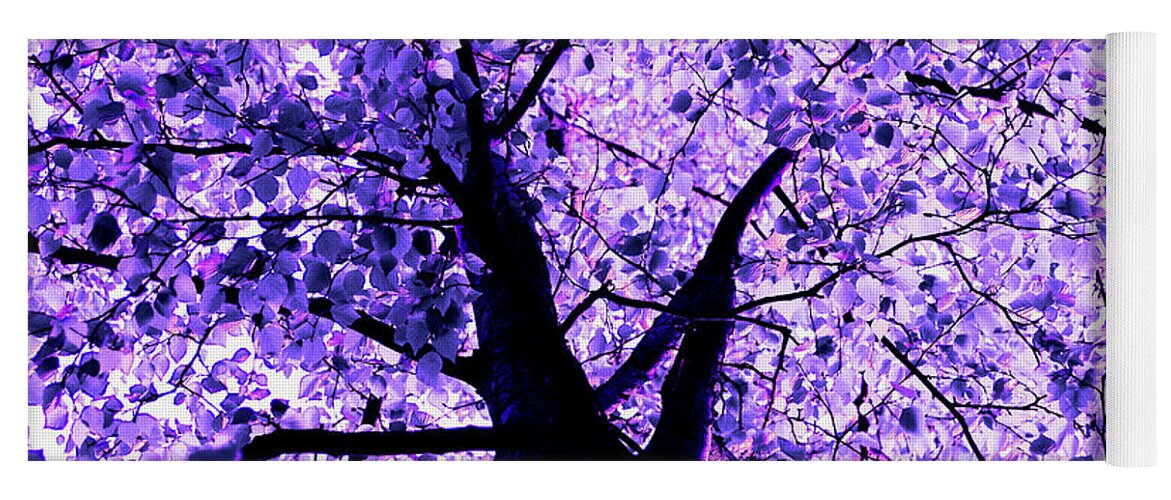 Forest Yoga Mat featuring the photograph Violet funky tree by Severija Kirilovaite