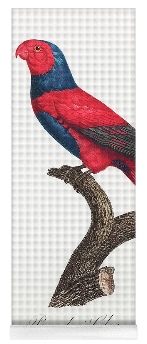 Violet-necked Lory Yoga Mat featuring the mixed media Violet Necked Lory by World Art Collective