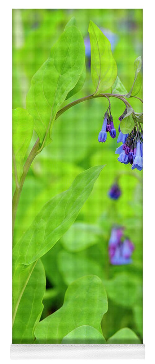 Bluebells Yoga Mat featuring the photograph Virginia Bluebells 5 by Todd Bannor