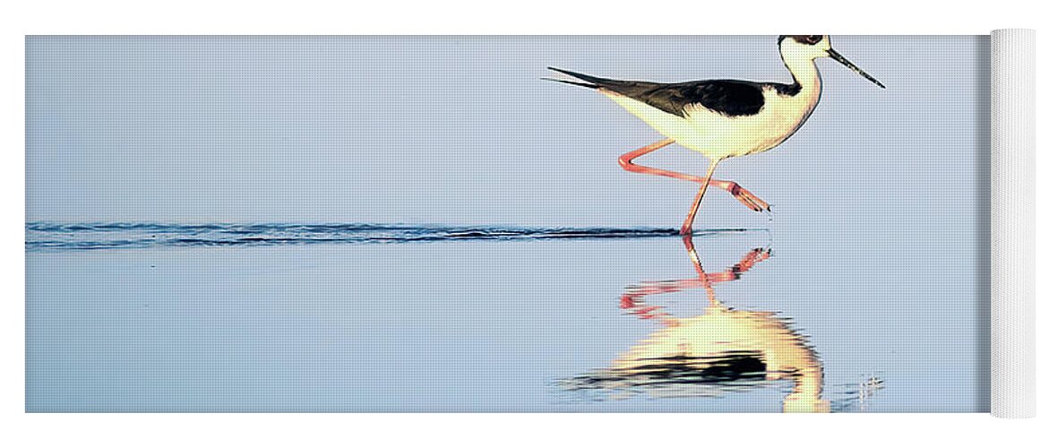 Black-necked Stilt Yoga Mat featuring the photograph Wake's Journey by Gary Geddes