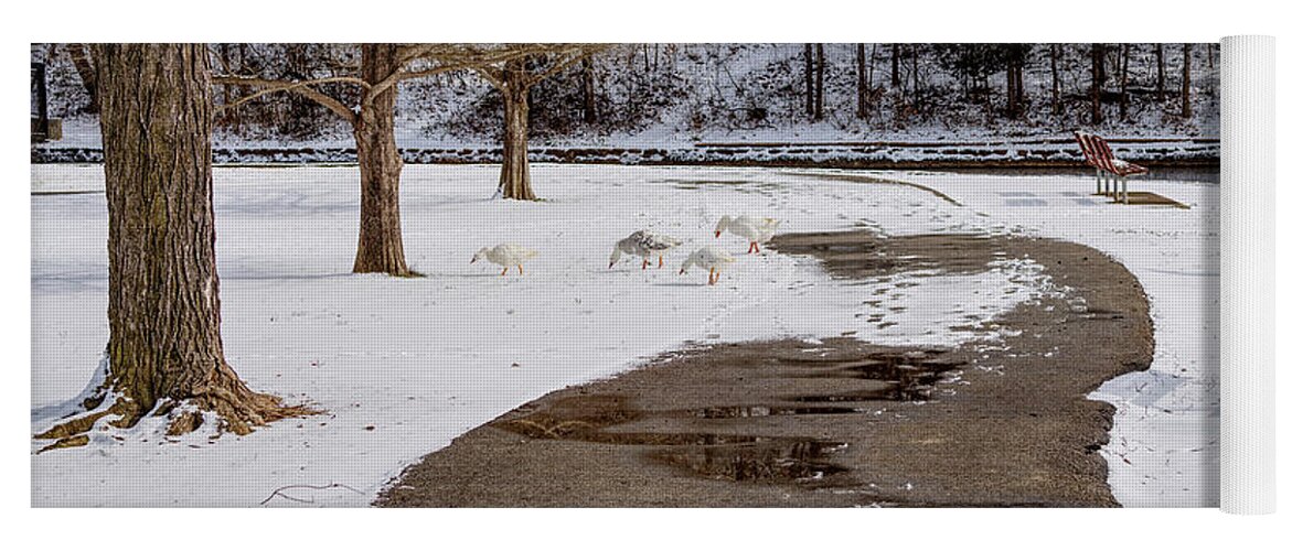 Snow Yoga Mat featuring the photograph Wandering Geese by Jennifer White