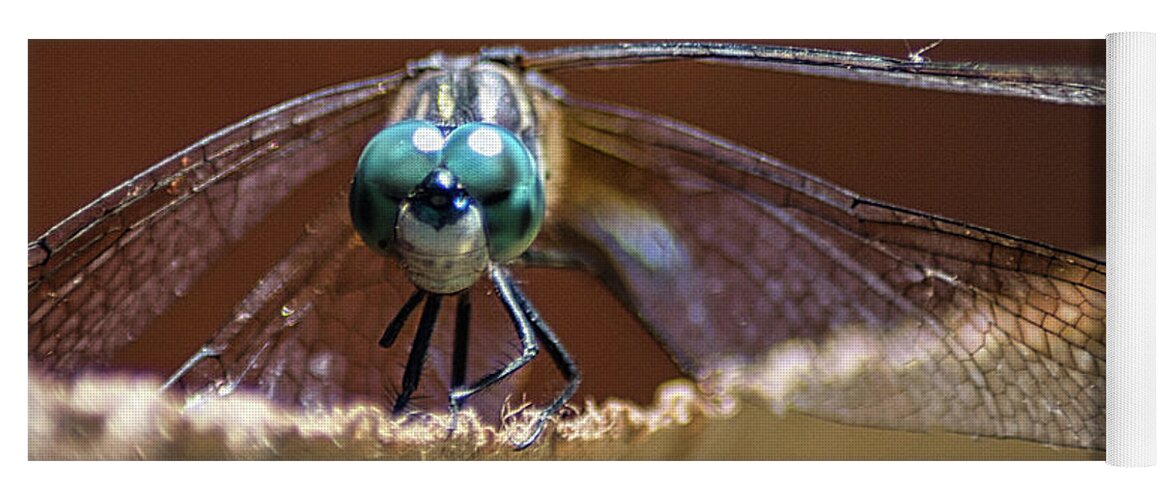 Insect Yoga Mat featuring the photograph Watched by a Dragonfly by Portia Olaughlin