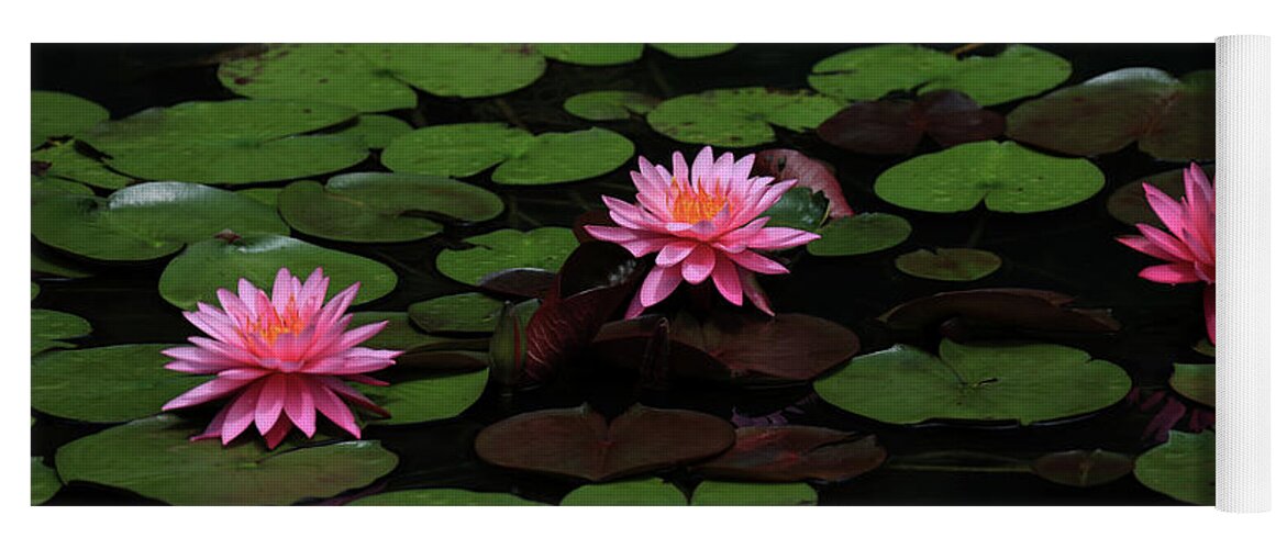 Water Lily Yoga Mat featuring the photograph Water Lilies 9 by Richard Krebs