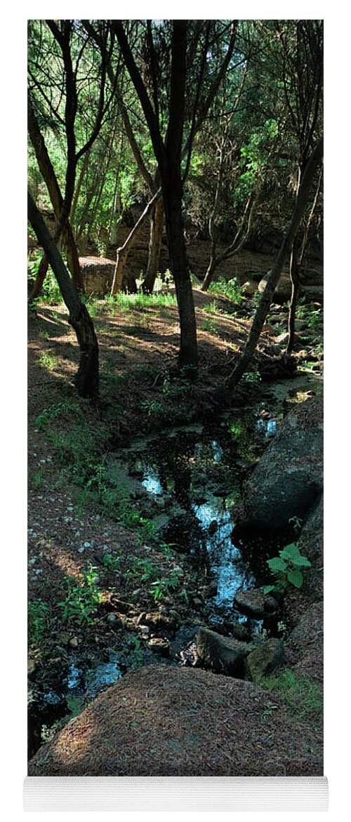 Forest Yoga Mat featuring the photograph Water Line in the Forest by Angelo DeVal