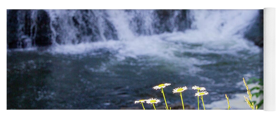 Waterfall Yoga Mat featuring the photograph Waterfall Daisies by William Norton