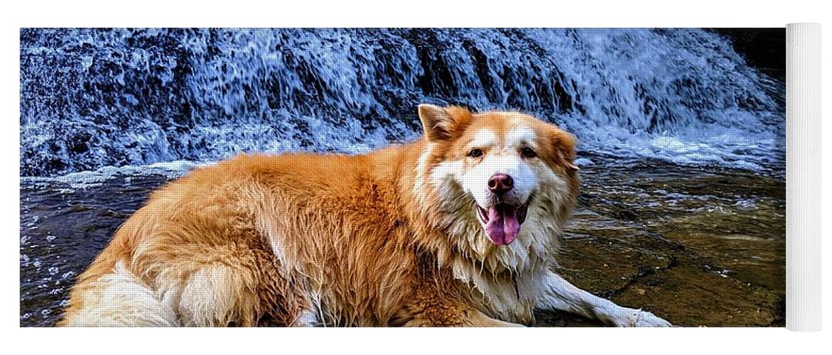  Yoga Mat featuring the photograph Waterfall Doggy by Brad Nellis
