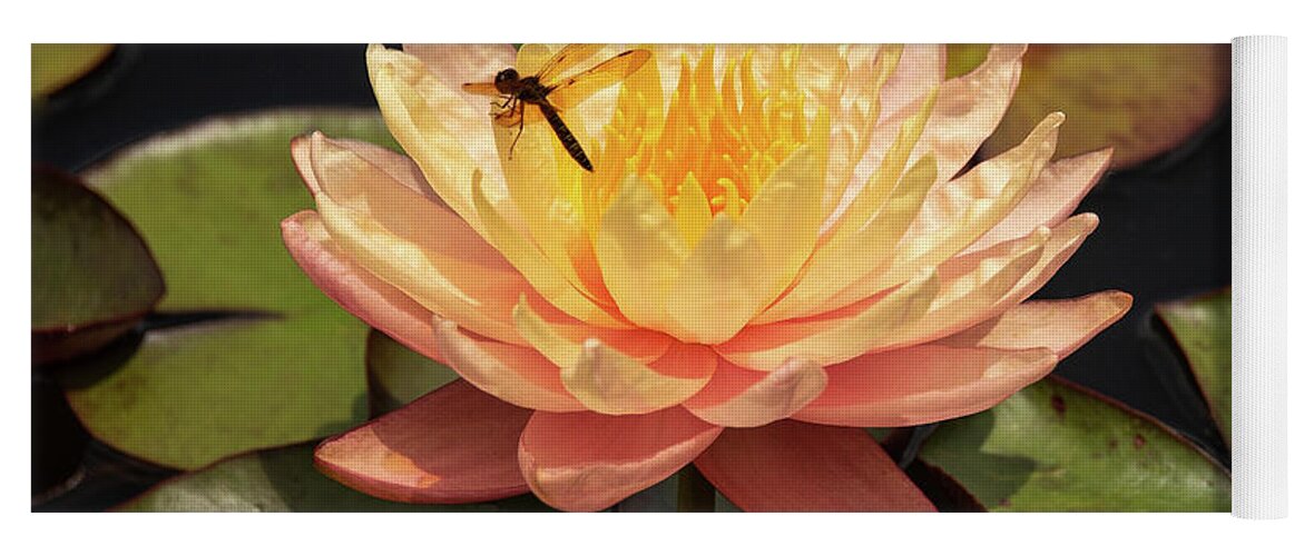 Flowers Yoga Mat featuring the photograph Waterlily by Minnie Gallman