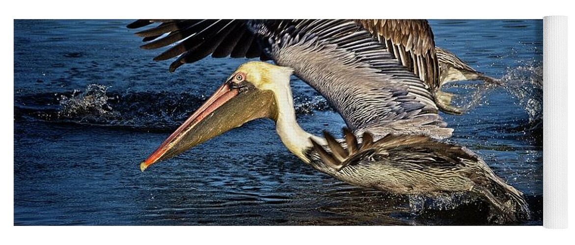 Brown Pelican Yoga Mat featuring the photograph We Have Liftoff by Ronald Lutz