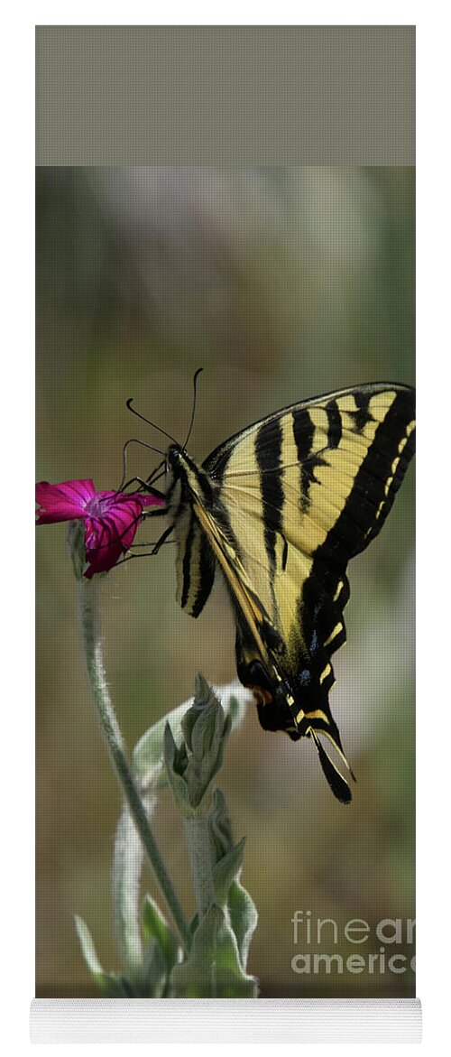 Western Tiger Swallowtail Yoga Mat featuring the photograph Western Tiger Swallowtail Butterfly in Profile by Nancy Gleason