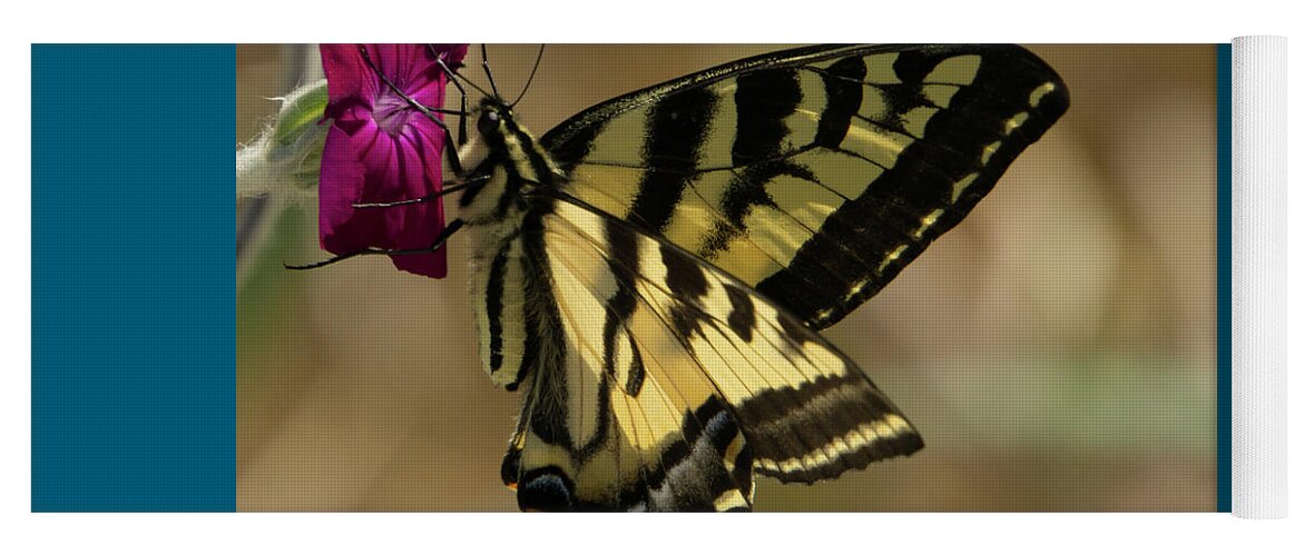 Western Tiger Swallowtail Yoga Mat featuring the photograph Western Tiger Swallowtail Butterfly Clings to Wildflower by Nancy Gleason