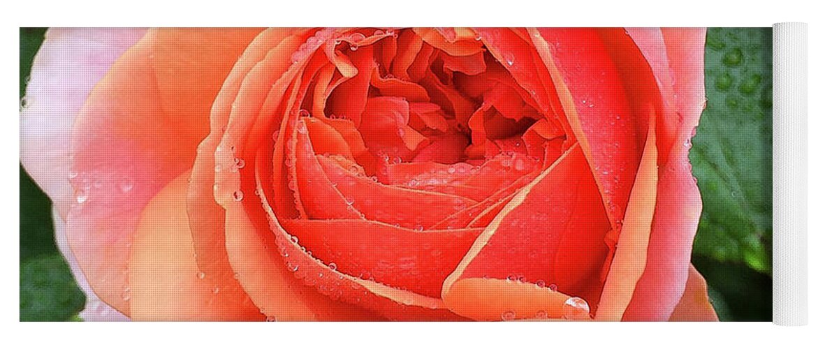 Rose Yoga Mat featuring the digital art Wet Rose by Nancy Olivia Hoffmann