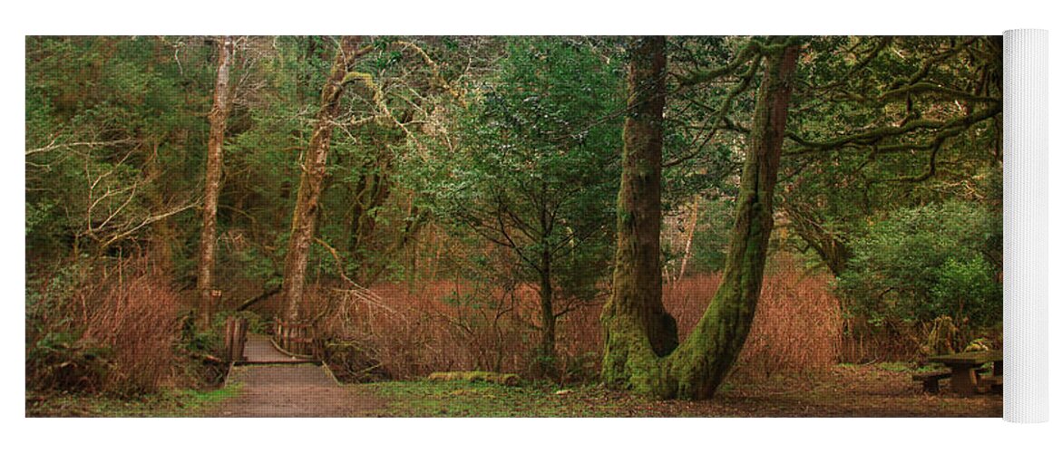 Coos Bay Yoga Mat featuring the photograph Where the Trail Begins by Sally Bauer