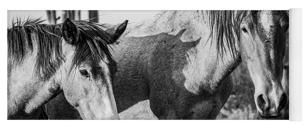 Horse Yoga Mat featuring the photograph Where the West is Wild by Bonny Puckett