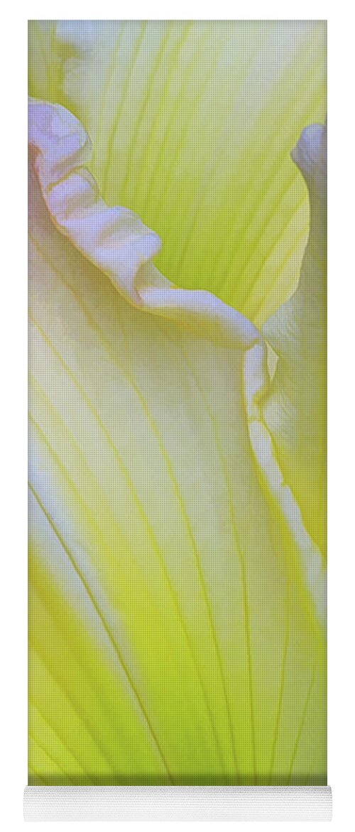 Lily Yoga Mat featuring the photograph Whisper I Still Love You by Kathi Mirto