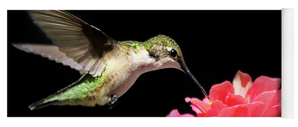 Hummingbirds Yoga Mat featuring the photograph Whispering Hummingbird Square by Christina Rollo