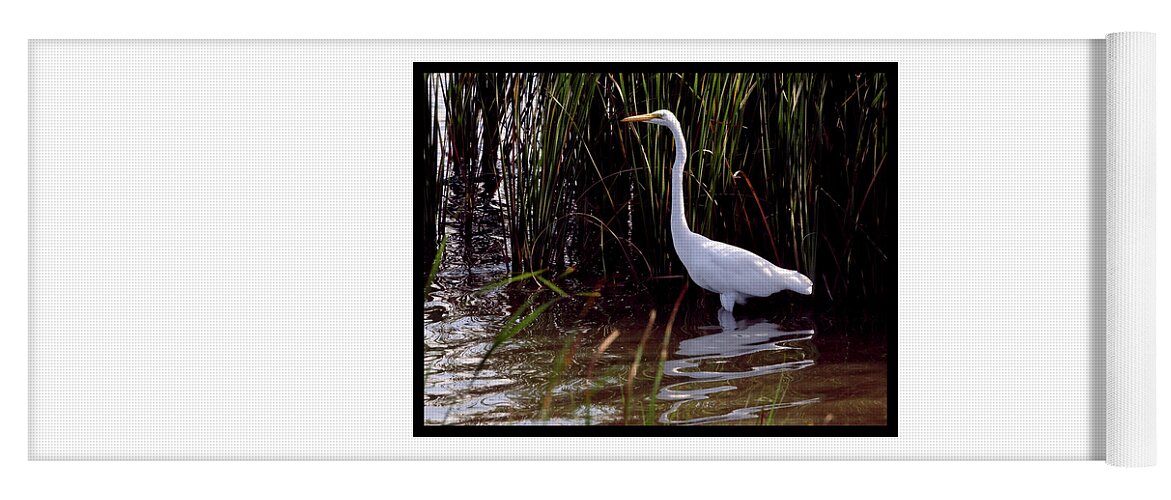 White Egret Yoga Mat featuring the photograph White Egret in Reeds by Mark Ivins