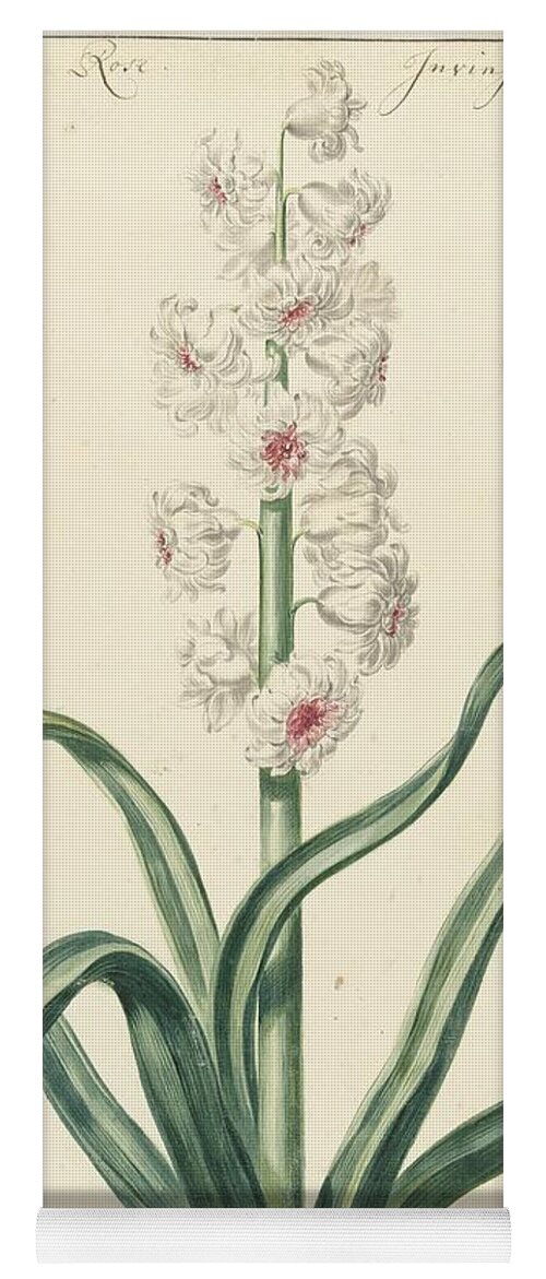 Vintage Yoga Mat featuring the painting White hyacinth, Hendrik Budde, 1720 by MotionAge Designs