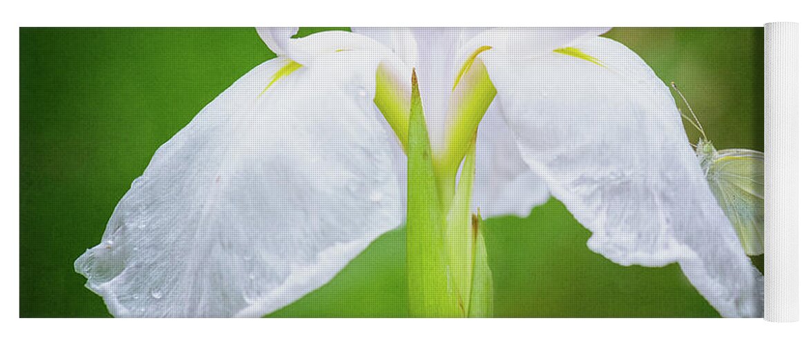 Iris Yoga Mat featuring the photograph White Iris With Cabbage Butterfly by Anita Pollak