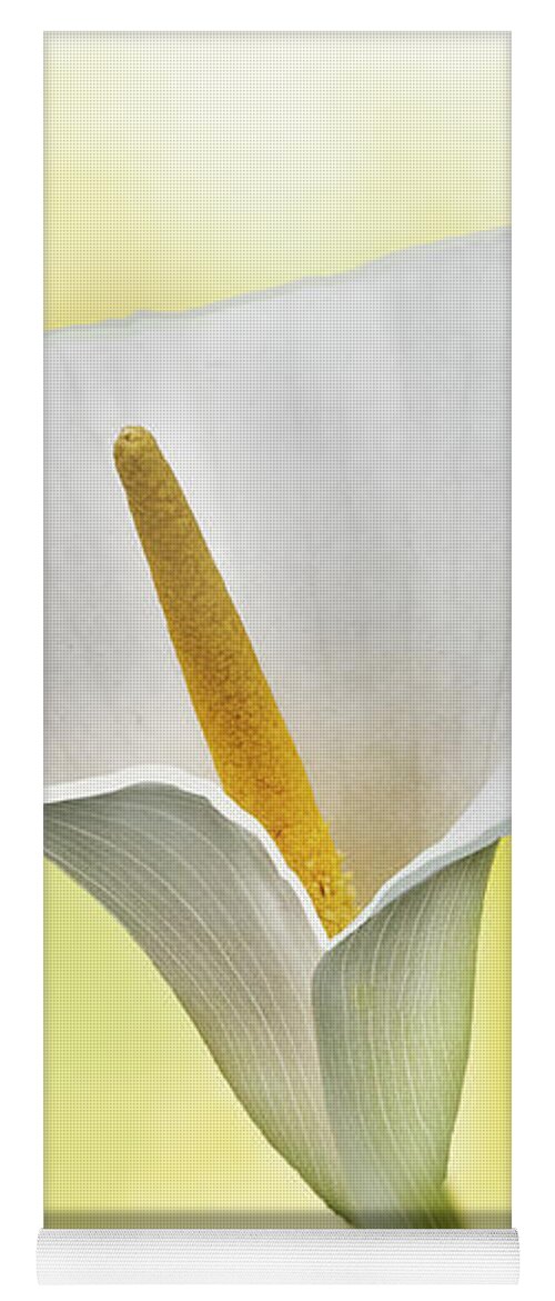 Spring Yoga Mat featuring the mixed media White Lily by Moira Law