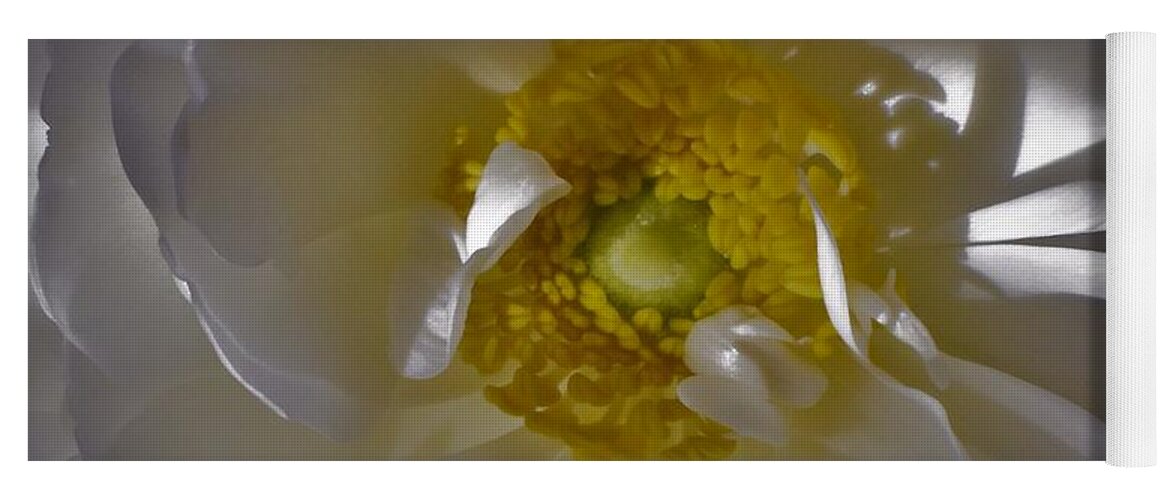 - White Ranunculus 3 Yoga Mat featuring the photograph - White Ranunculus 3 by THERESA Nye