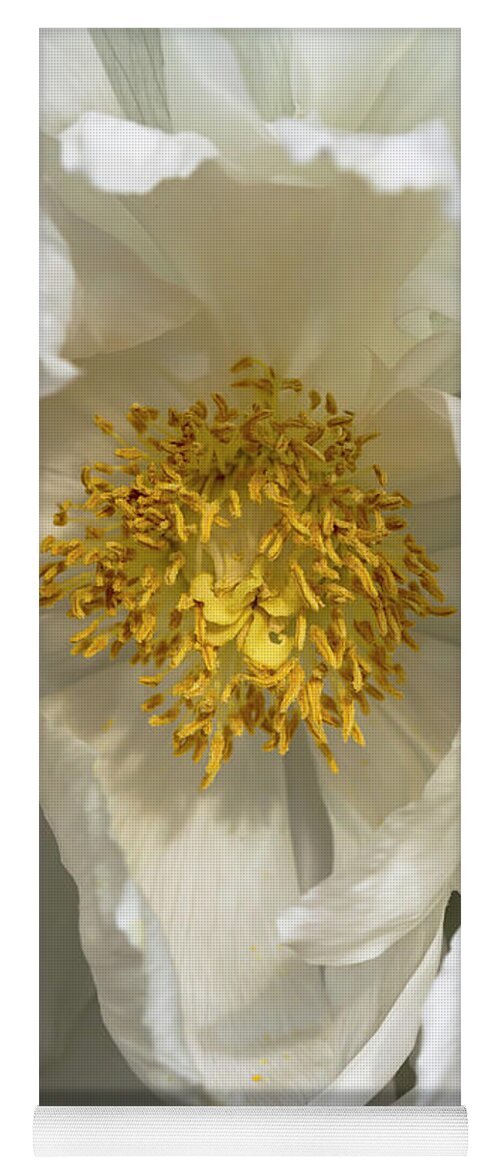 Flower Yoga Mat featuring the photograph White Tree Peony by Dawn Cavalieri