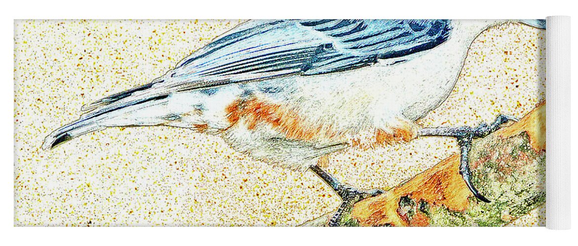 Horizontal Yoga Mat featuring the photograph Whitebreasted Nuthatch by A Macarthur Gurmankin