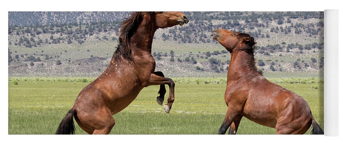 Eastern Sierra Yoga Mat featuring the photograph Wild and Frisky Mares by Cheryl Strahl