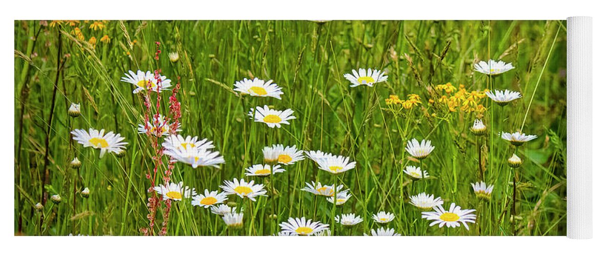 Wild Daisy River Yoga Mat featuring the photograph Wild Daisy River South Carolina by Bellesouth Studio