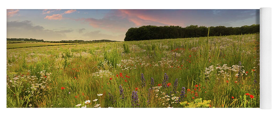 Norfolk Yoga Mat featuring the photograph Wild flower meadow sunset landscape in England by Simon Bratt