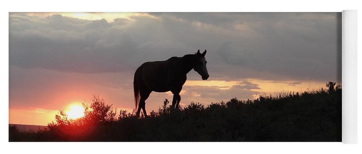 Wild Horse Yoga Mat featuring the photograph Wild Horse at Sun Down 2 by Amanda R Wright