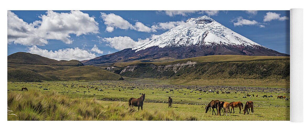 Andes Yoga Mat featuring the photograph Wild horses grazing at the foot of the Cotopaxi volcano by Henri Leduc